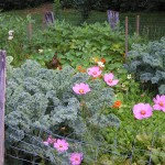 This is the alternate text