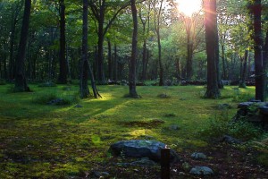 Photo of sun setting taken during web video shoot
